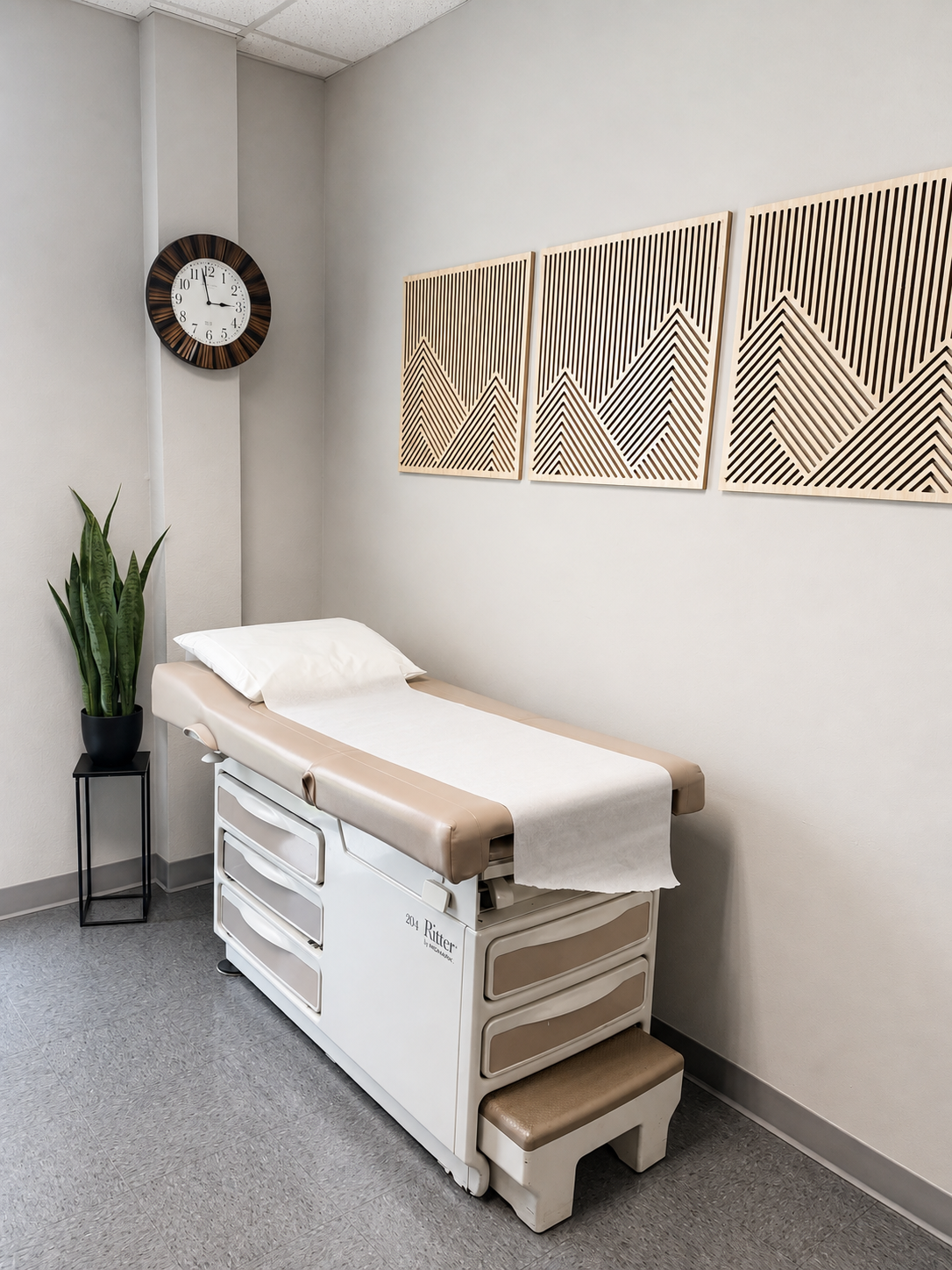 Exam room at Evansville Primary Care with a prepared exam table, wall art and a plant.